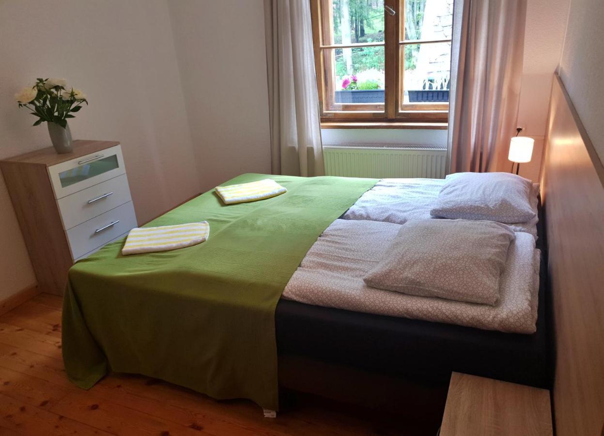 Apartament Zieleniec Duszniki Zdroj Ngoại thất bức ảnh